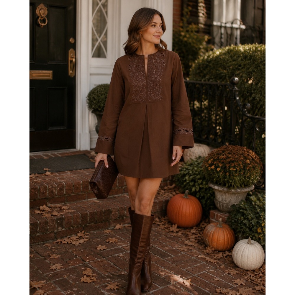NWT Tuckernuck Tahlia Brown Embroidered Shift Mini Dress (MSRP: $248) Size Small